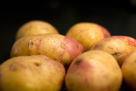 Potatis King Edward